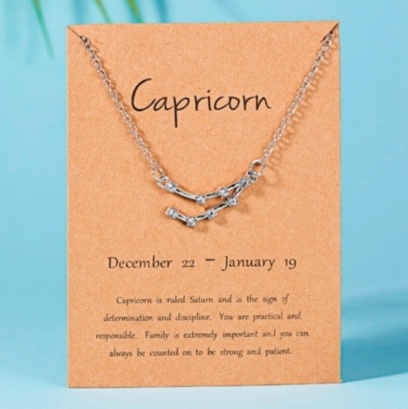 Zodiac Constellation (CAPRICORN) Necklace - Picture 1 of 6